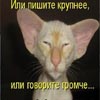 Раздающий